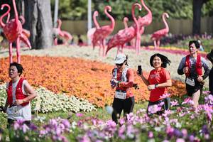 BIB: 
                            <button type="button" onclick="openModal(27793482)" class="btn btn-primary btn-sm float-right btn-popup" data-toggle="modal" data-target=".modal-high-quality">
                        <i class="fas fa-shopping-cart"></i> Add to Cart
                    </button>
                                            <button type="button" onclick="isThisMe(27793482, true)" class="btn btn-success btn-sm float-right btn-popup btn-isme hidden" data-toggle="tooltip" data-placement="bottom" title="นี่คือรูปของคุณใช่ไหม คลิกที่นี่เพื่อเอาเข้าอัลบั้ม">
                        <i class="fas fa-plus"></i> Add to album
                    </button>
                    <button type="button" onclick="isThisMe(27793482, false)" class="btn btn-warning btn-sm float-right btn-popup btn-isnotme hidden">
                        <i class="fas fa-ban"></i> Remove from album
                    </button>